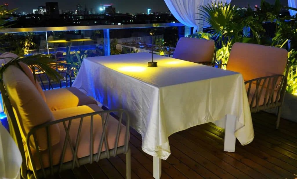 愜意情調｜滿天星花賞夜趣